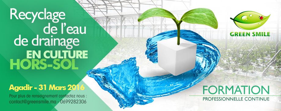Recyclage de l’eau de drainage en culture Hors-sol